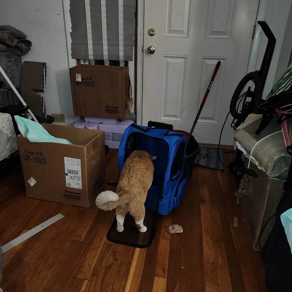 Pet Carrier